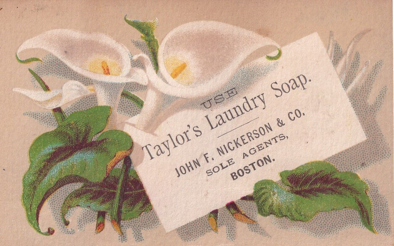 1800s Victorian Trade Card - Taylor\'s Laundry Soap -Lily -B2
