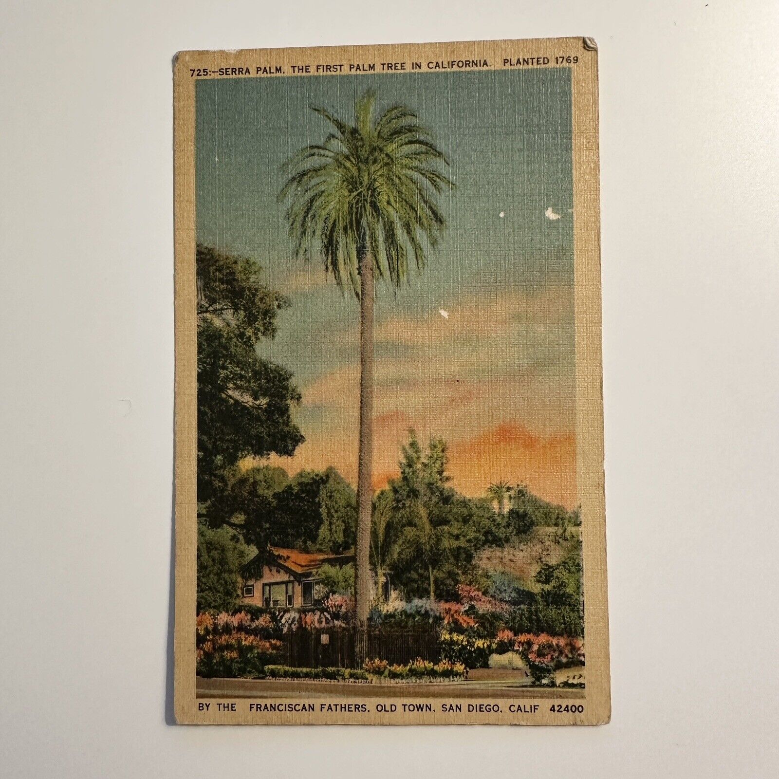 Postcard Serra Palm First Palm Tree in California US Navy Free Postmark 1943