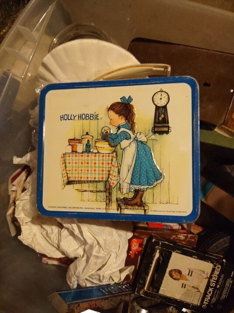 Vintage Metal Holly Hobbie Lunchbox No Thermos 1972