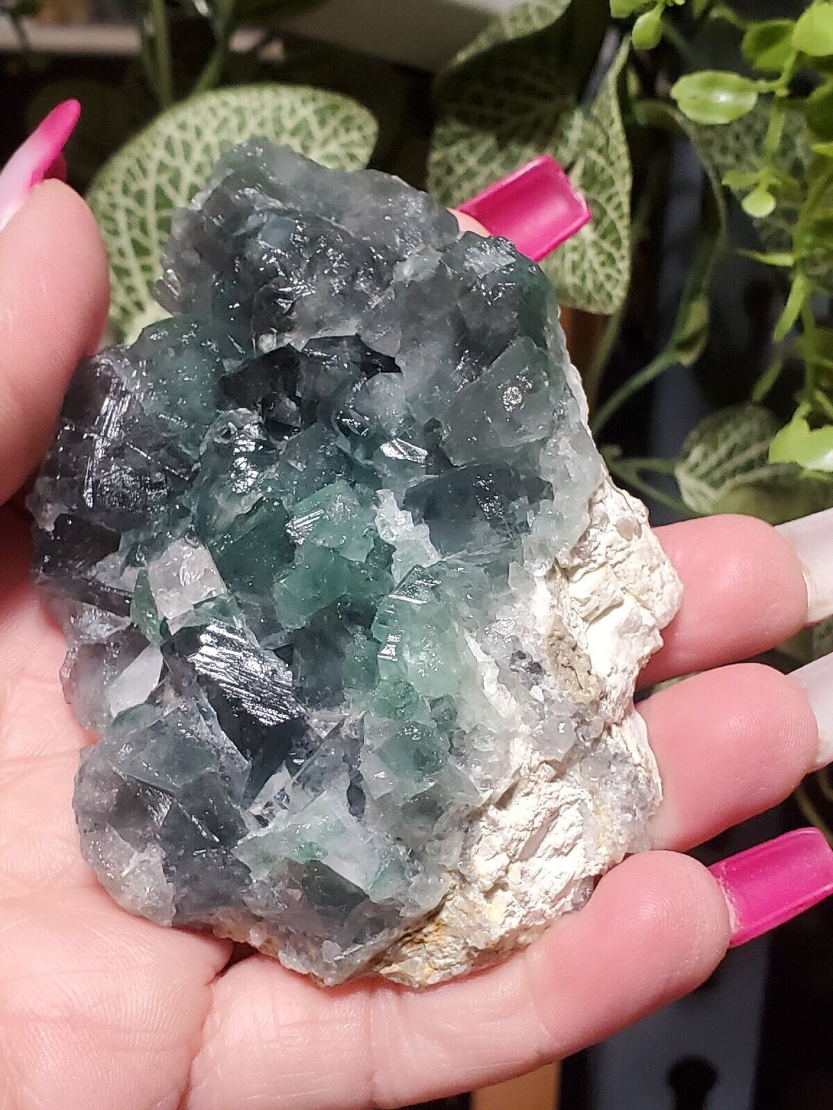 194G NATURAL Green Cubic FLUORITE Crystal Cluster Mineral Specimen