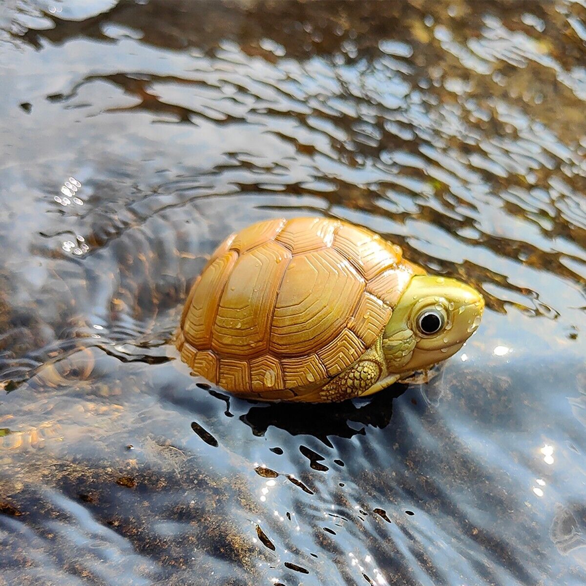 【In-Stock】Animal Heavenly Body Yellow Pond Turtle Mauremys mutica Statue