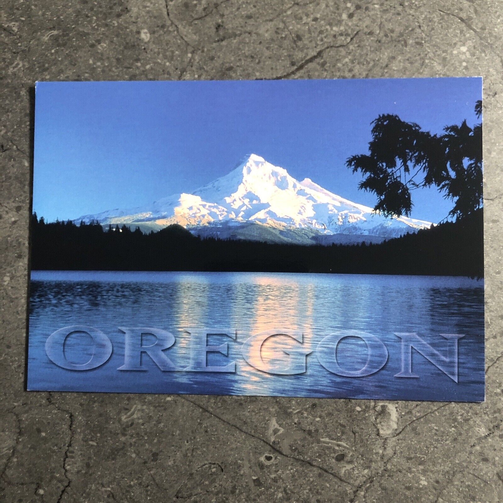 Oregon Mt. Hood/Lost Lake Postcard Unposted