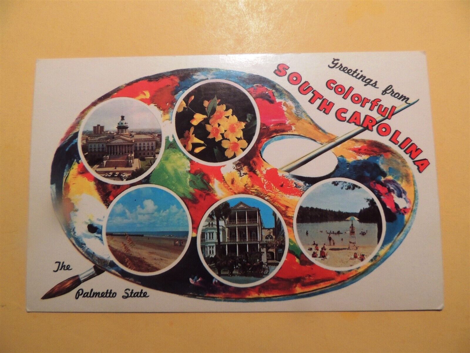 Greetings from Colorful South Carolina vintage postcard artist palette views