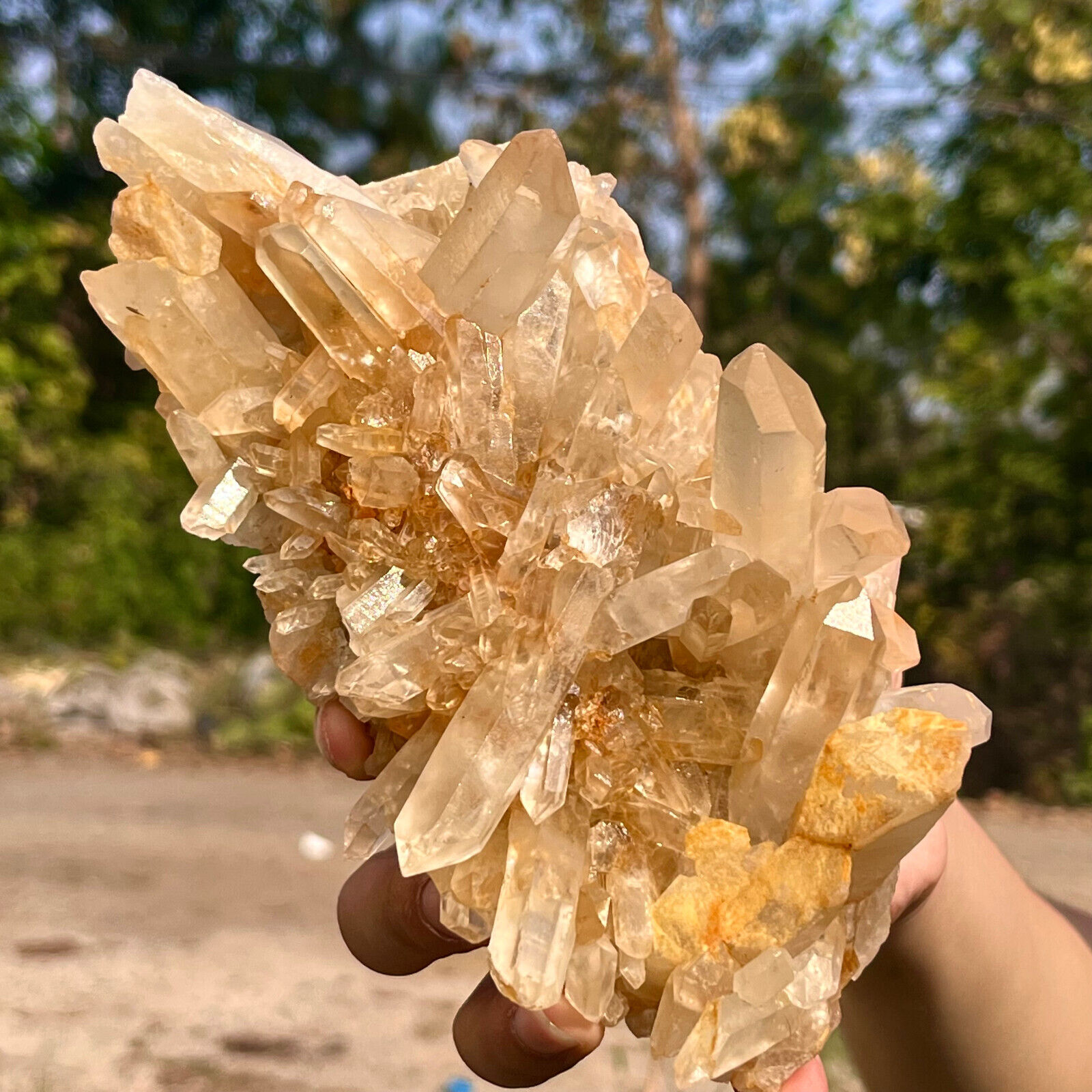 1.46LB Natural white crystal Himalayan quartz cluster/mineral