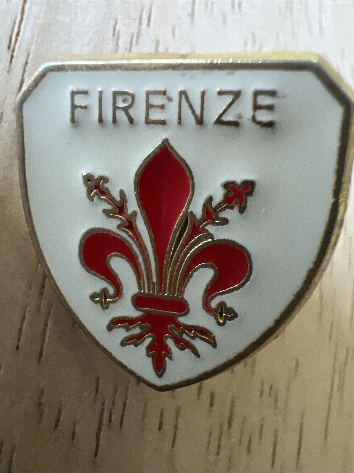 Vintage FIRENZE Florence Italy Shield Pinback Enamel