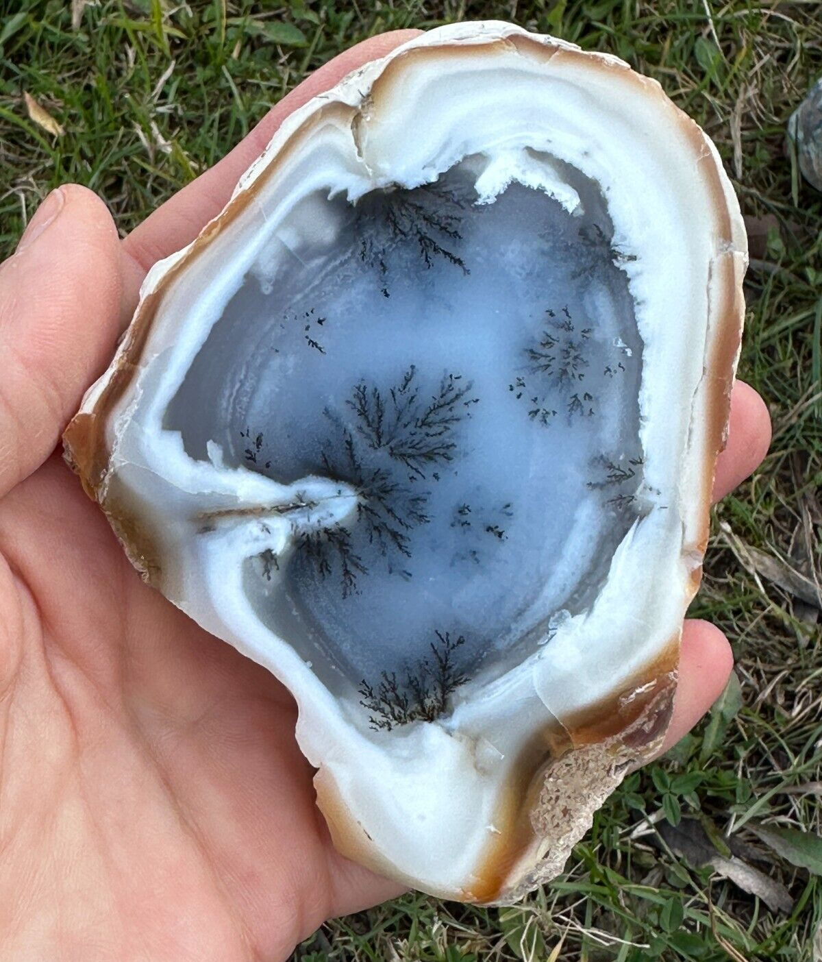 Two Side Polished Scenic Dendritic Agate, 100% Natural Stone, 1430 Carat