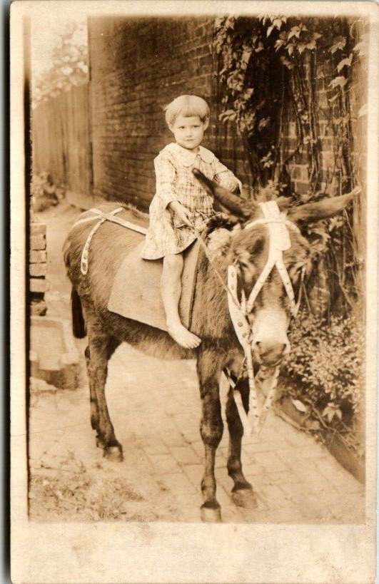 Young Girl on Donkey Postcard Antique RPPC AZO Triangles Unposted
