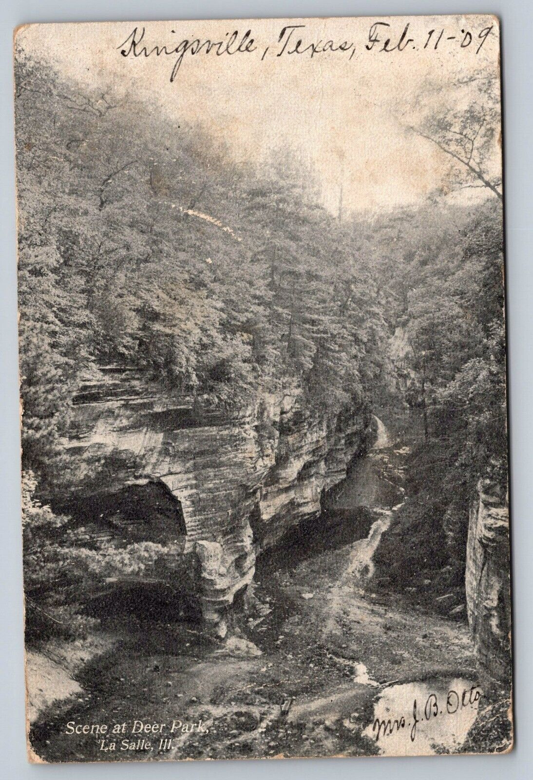Postcard LA SALLE ILLINOIS Scene at Deer Park (now Mathiessen SP) Wooded canyon
