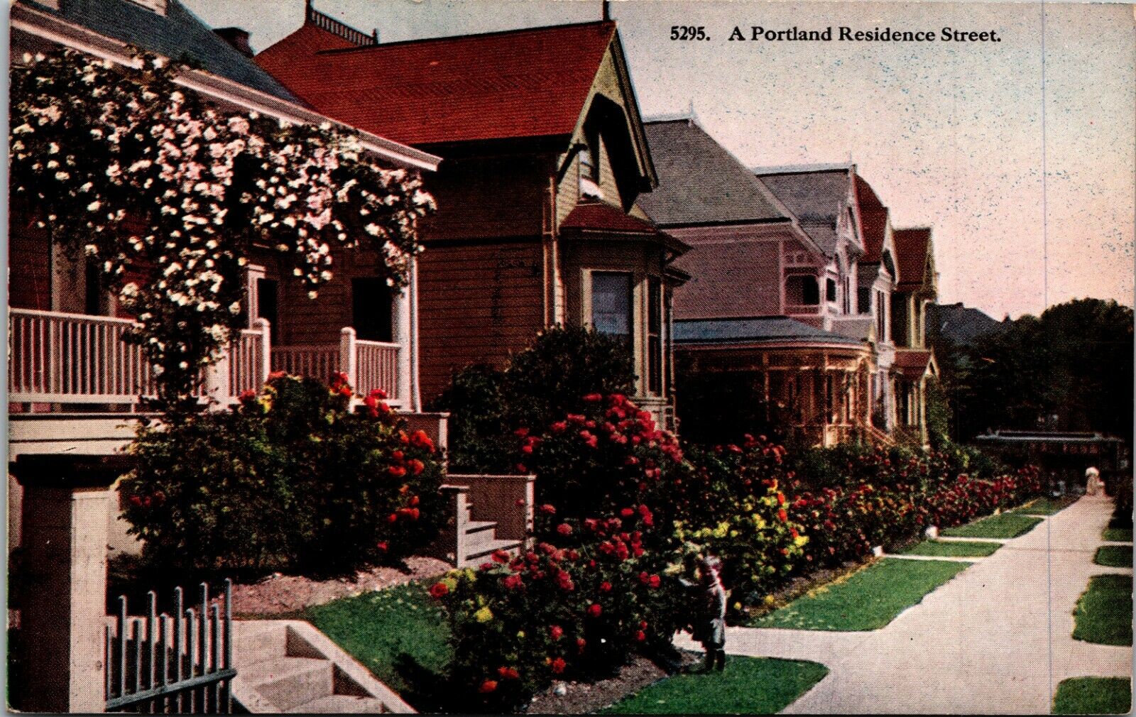 A Portland Residence Street Cottages Roses Paper Damage DB OR Postcard 