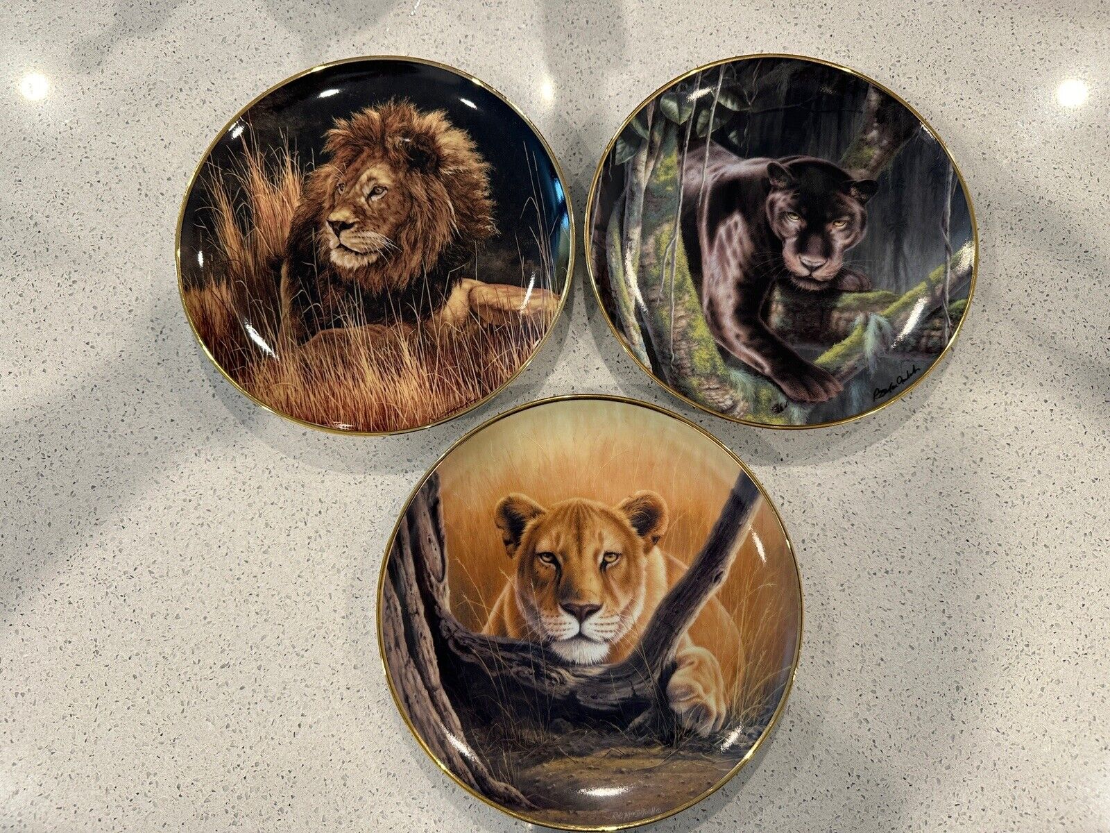 National Wildlife Federation Limited Edition Decorative Plates - Set of 3