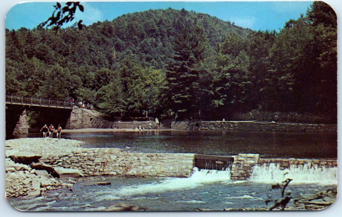Postcard - World\'s End State Park, Sullivan County, Pennsylvania, USA