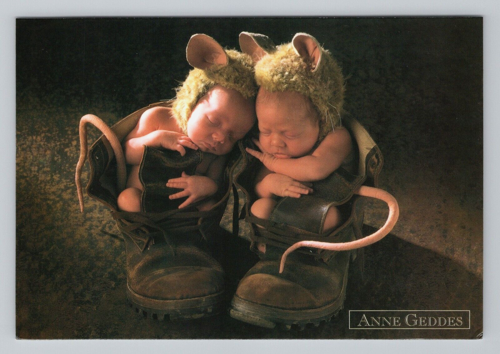 Postcard 4x6 Children Photography Portrait Mice Sleeping Boots Anne Geddes