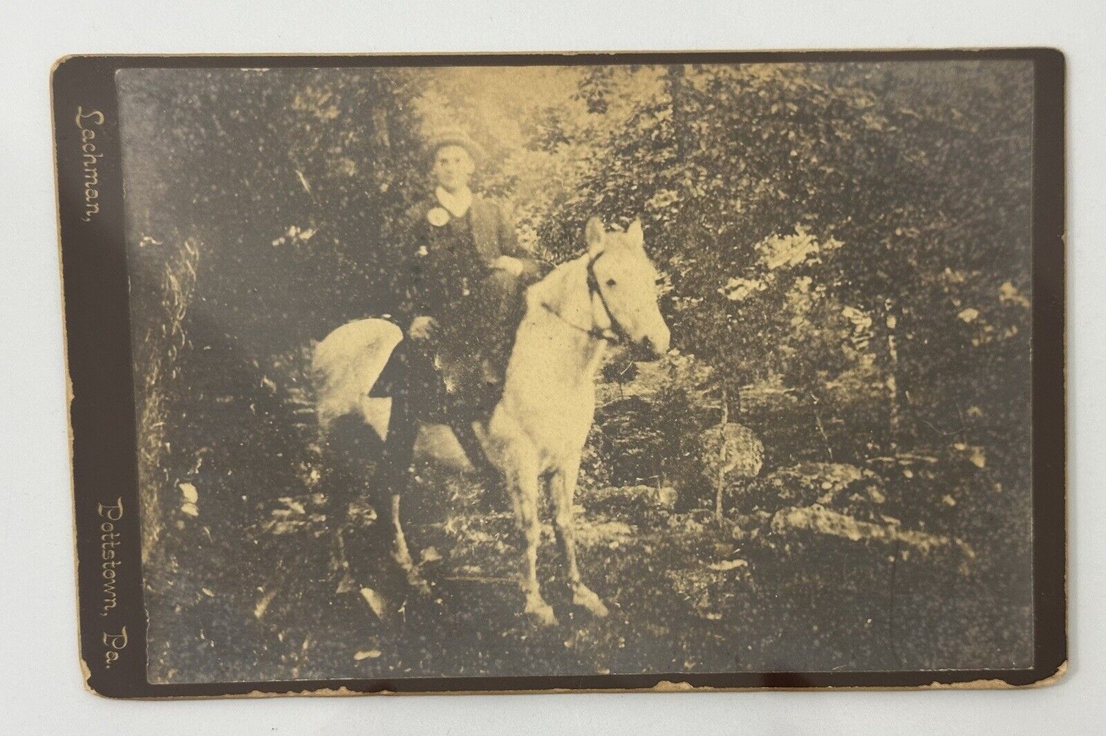 Antique Cabinet Card Photo 1880s Victorian In Hard Case Young Man On Horse 1880