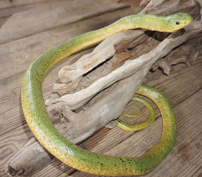 Large Realistic Green Snake Replica - Rubber