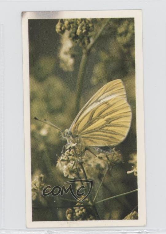 1983 Doncella British Butterflies Tobacco Green-Veined White #27 1i3