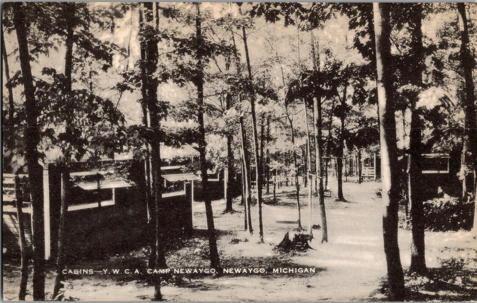 Cabins at YWCA Camp Newago, Newago MI Vintage Postcard J61