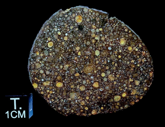 NWA 11961 Carbonaceous Meteorite ~ \