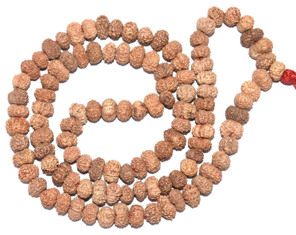 Rare 11 Mukhi Rudraksh Mala / Ekadash Rudra Mala - 109 Beads - Lab Certified