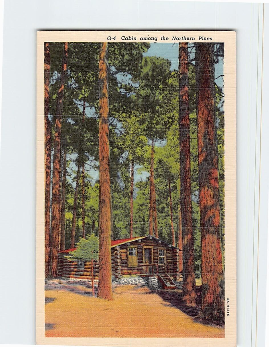 Postcard Cabin among the Northern Pines