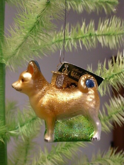 CHIHUAHUA Old World Christmas Glass Ornament, With Glitter, NWT & Gift Box