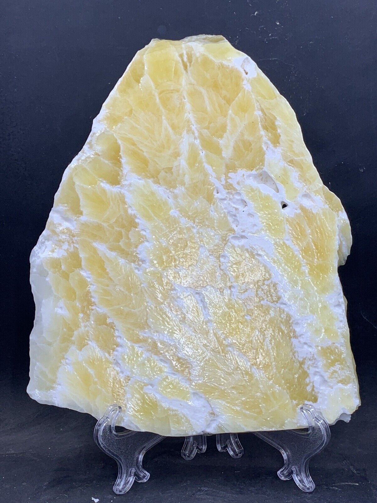Honeycomb Calcite Display Slab( Utah ) 9 “ Tall , With Stand