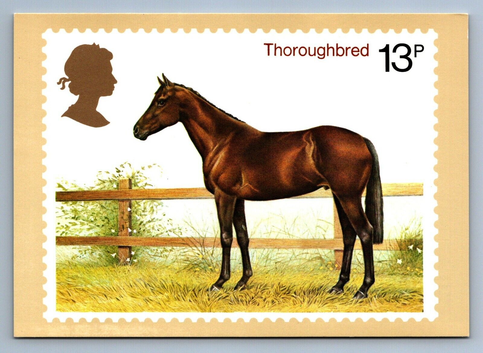 Postcard Vintage Thoroughbred Horse Reproduced Stamp Design Animal Equine