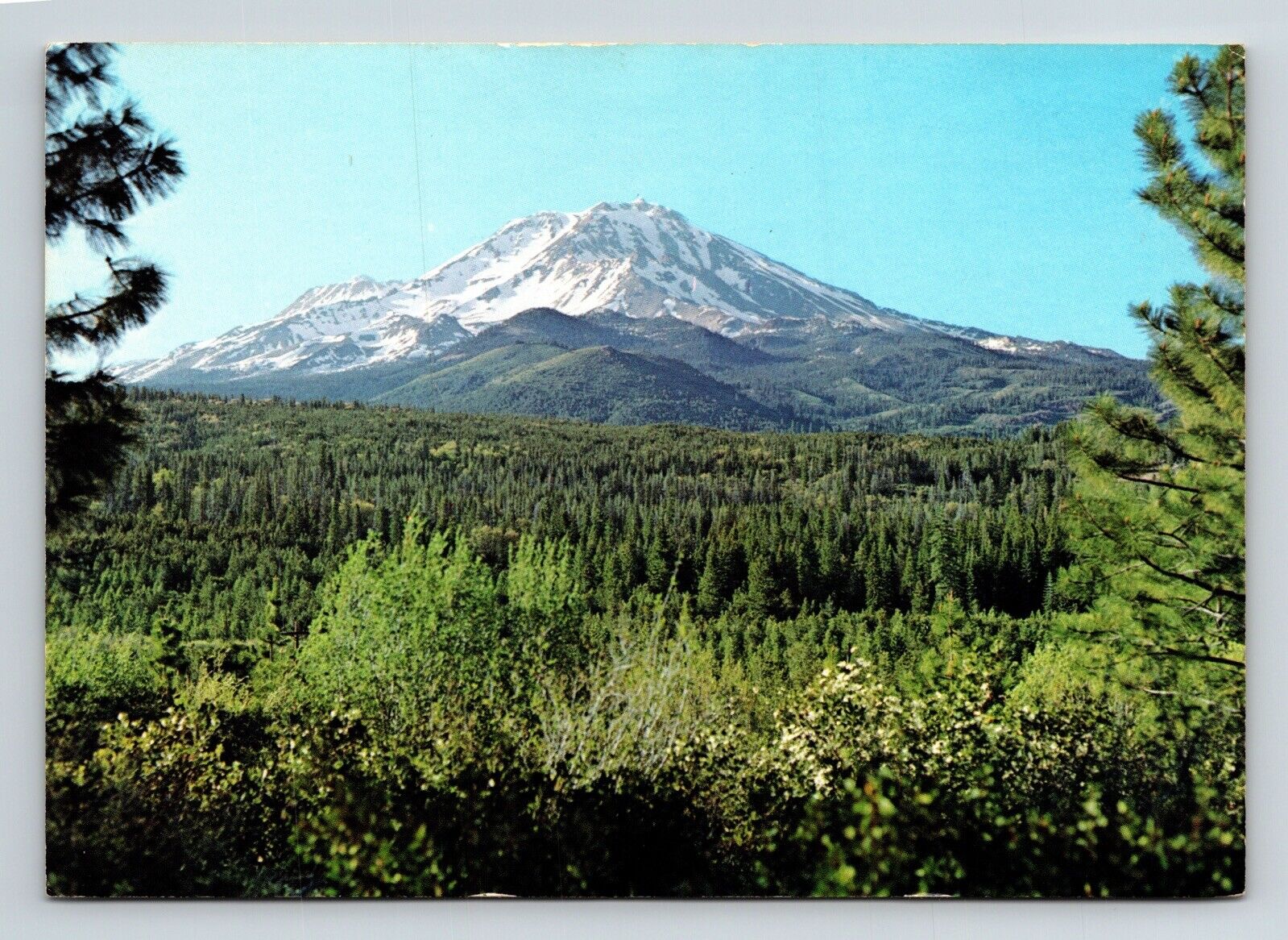 Mt Shasta Calif Eastmans Studio Susanville California Ca Postcard Unp