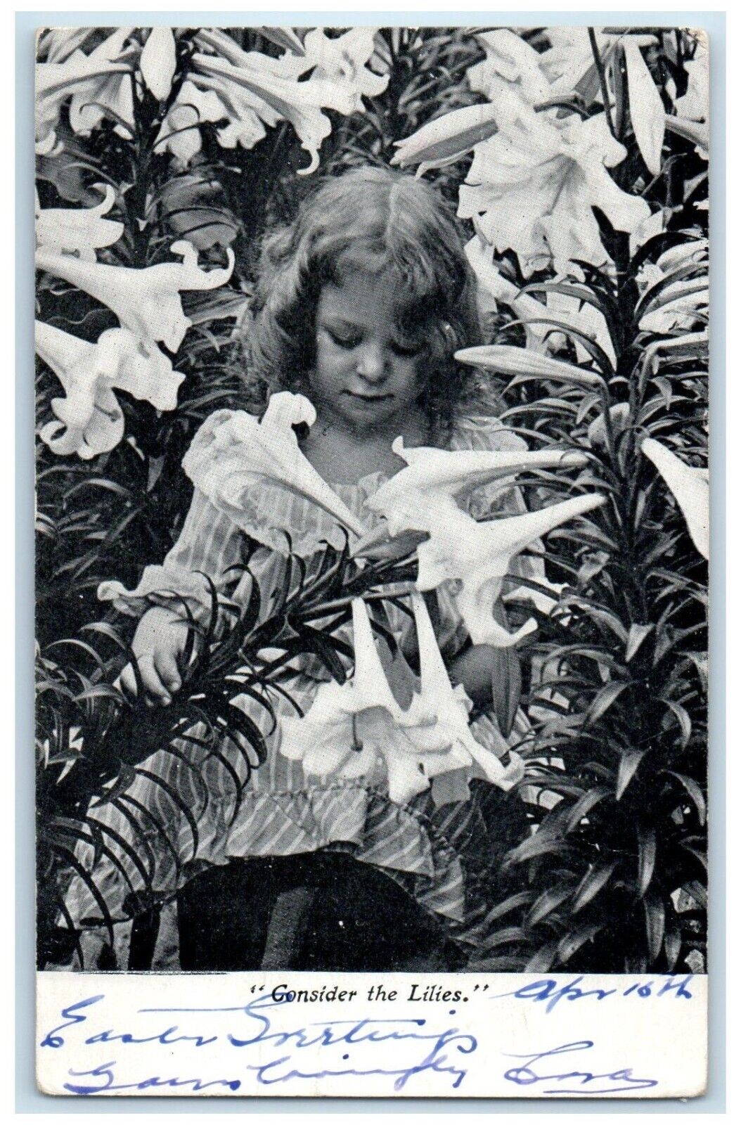 1908 Little Girl Consider The Lilies Flowers Sidnaw Michigan MI Antique Postcard