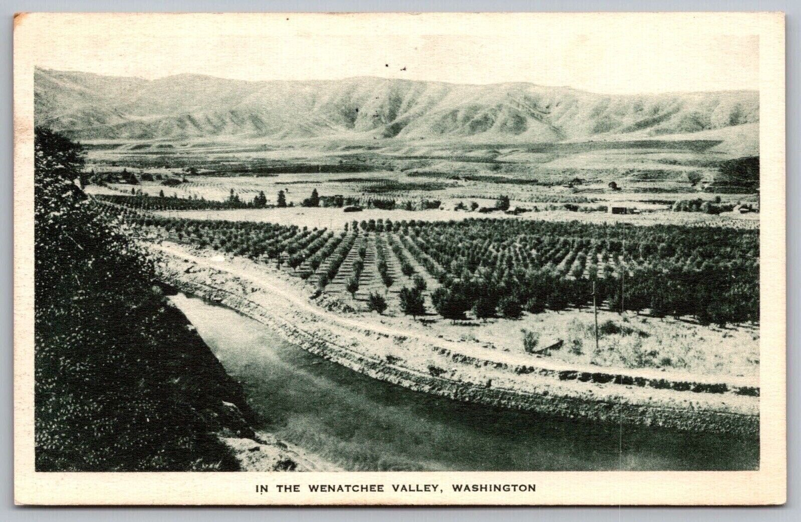 Wenatchee Valley Washington Black White Birds Eye View Farming Mountain Postcard