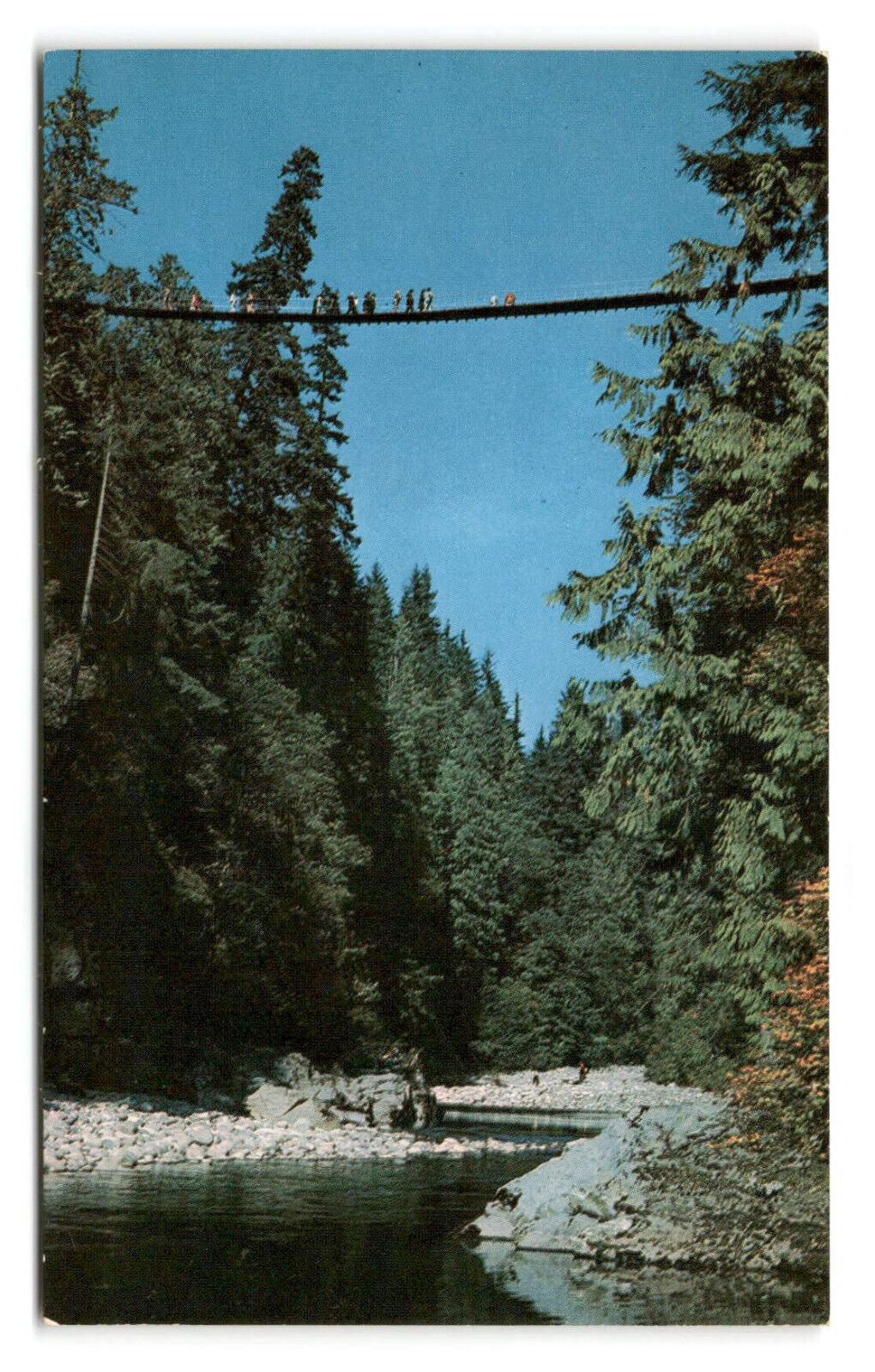 Postcard - Capilano Canyon Suspension Bridge - Vancouver, Canada - Unposted
