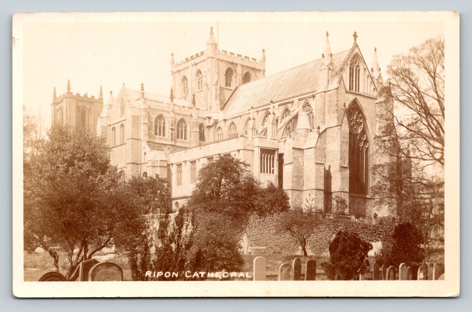 RPPC Ripon Cathedral North Yorkshire England Grave Stones VINTAGE Postcard 1518