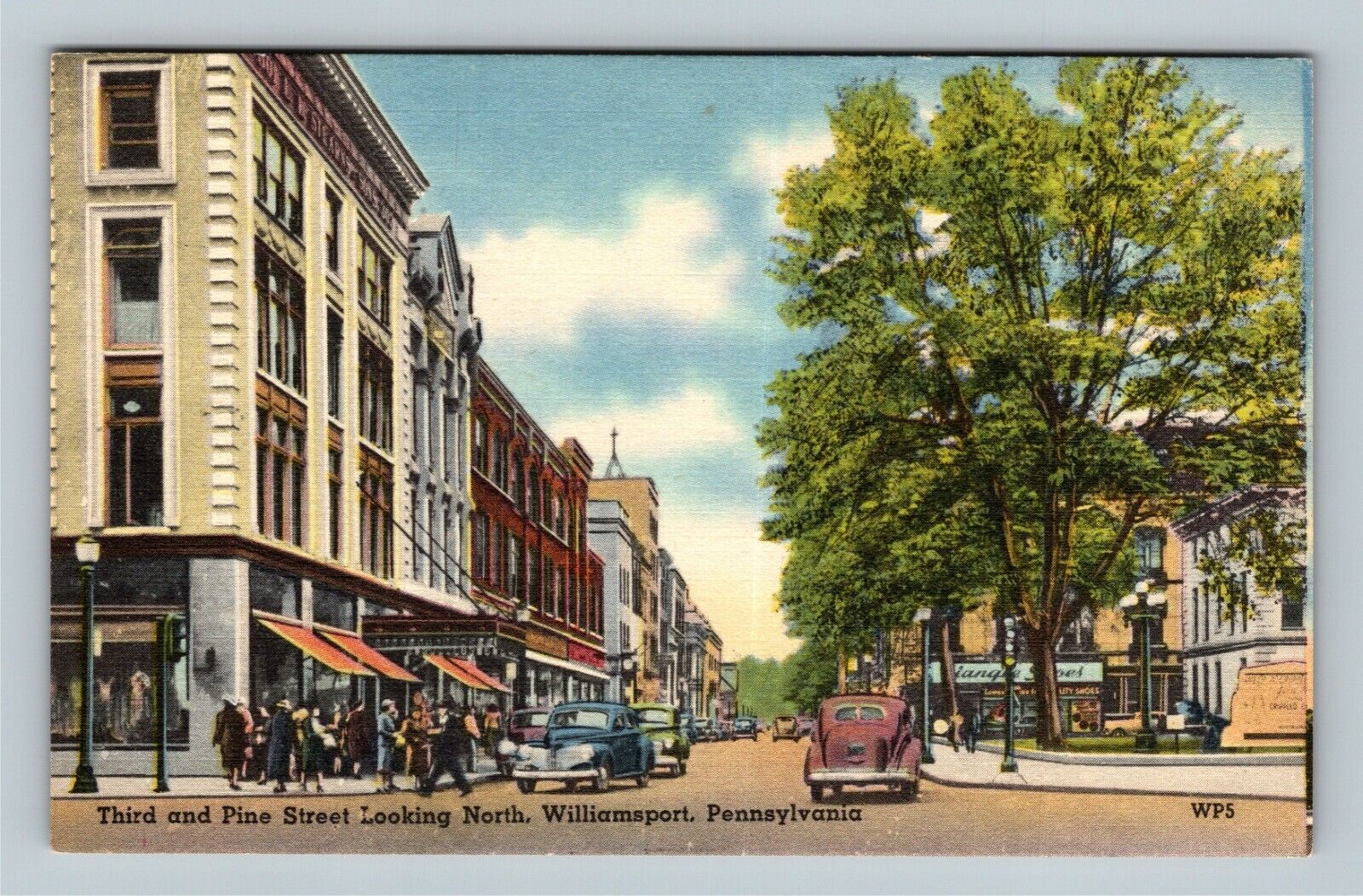 Williamsport PA, Third And Pine Street, Pennsylvania Vintage Postcard