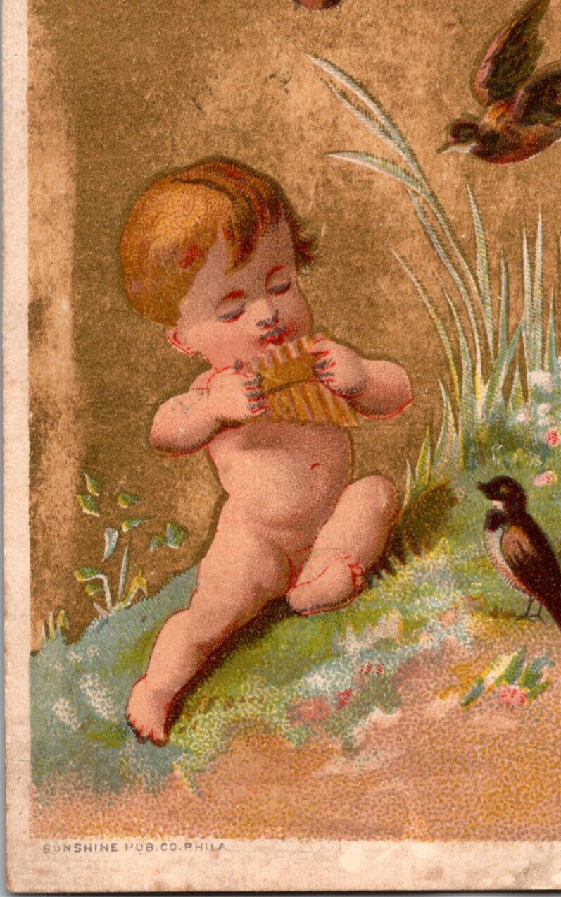 AR-184 MN ST Paul Nathan Ford Pianos Organs Victorian Trade Card Child Pan Flute