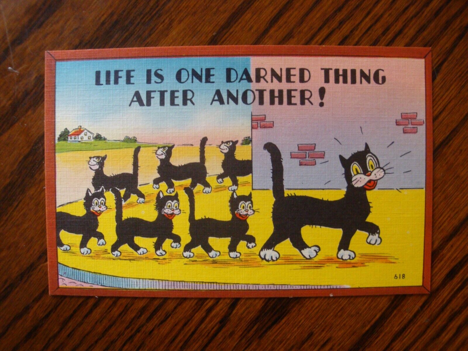 Vtg. Life Is One Darned Thing After Another, Linen Postcard, Colourpicture (B)