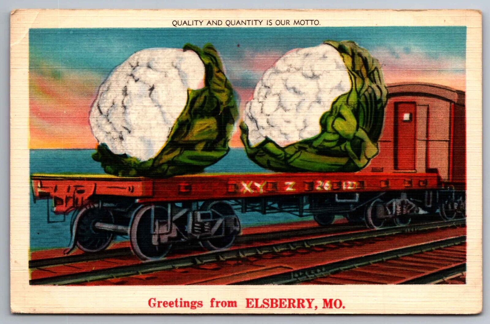 Postcard Cauliflower on Rail Car Greeting from Elsberry Missouri  E 22