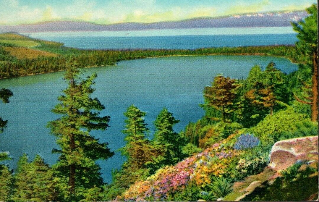 Postcard - Fallen Leaf Lake & Lake Tahoe, California Posted 1955  2774