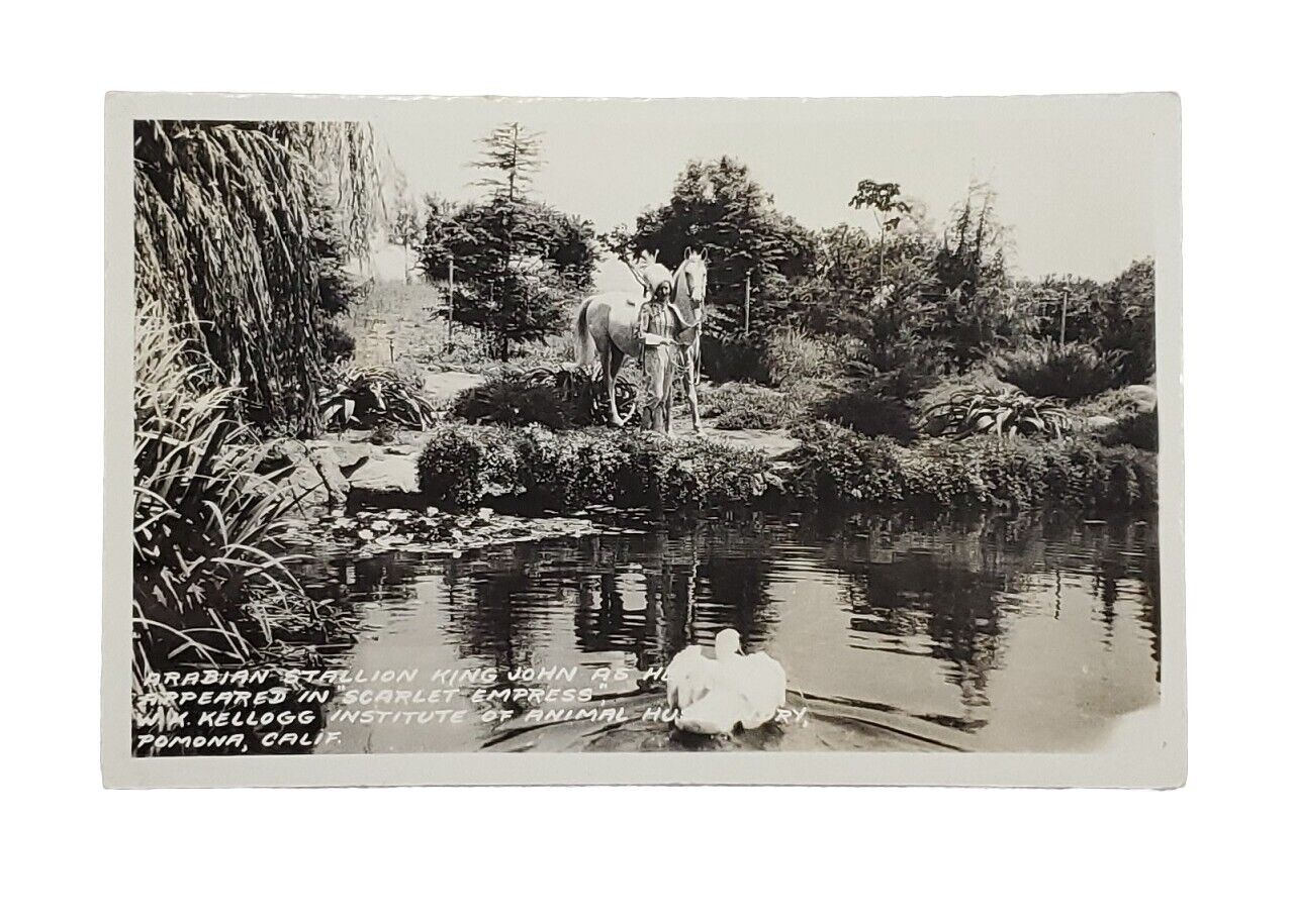 1939-1950 EKC Photo Postcard:  \