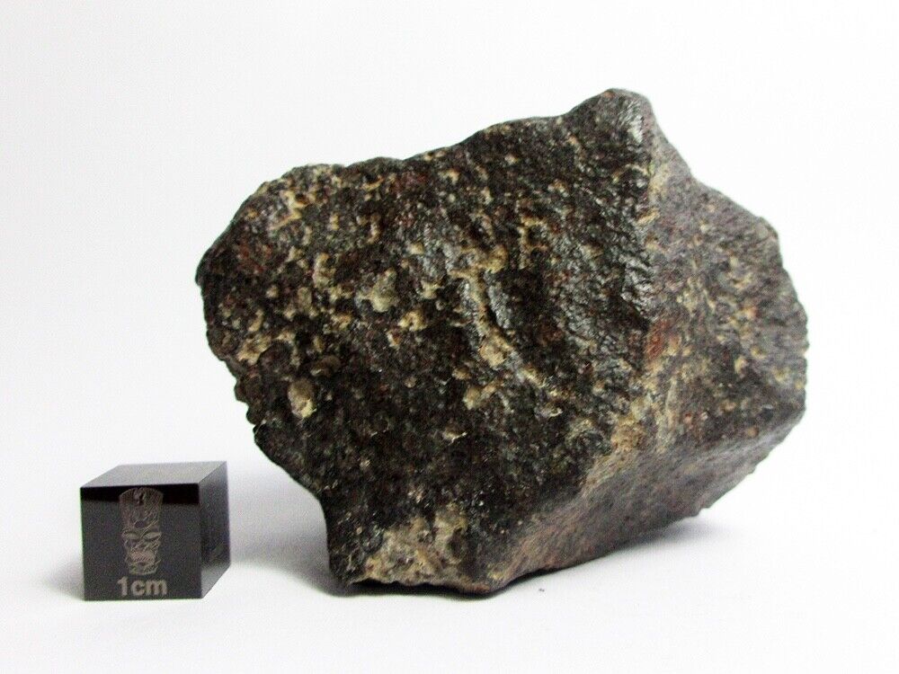 NWA 869 Meteorite 114.30g Beautifully Crusted Chondrite