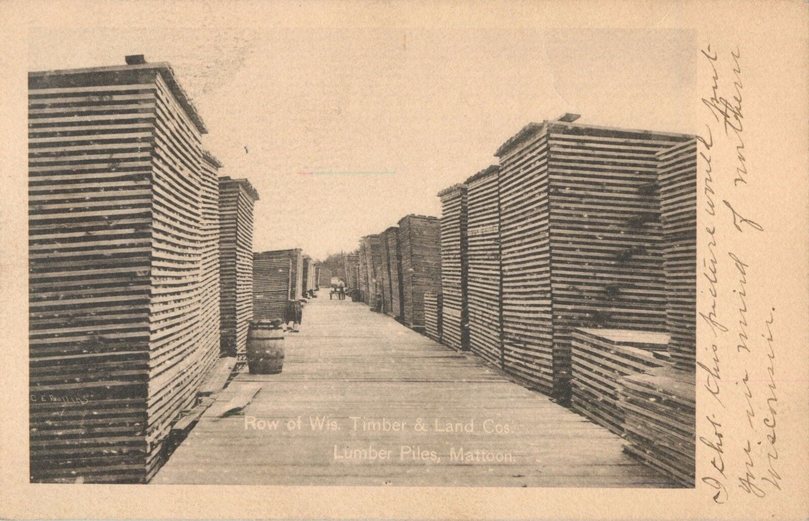 The Lumber Piles, Wisconsin Timber & Land Company, Mattoon, Wisconsin WI 1908