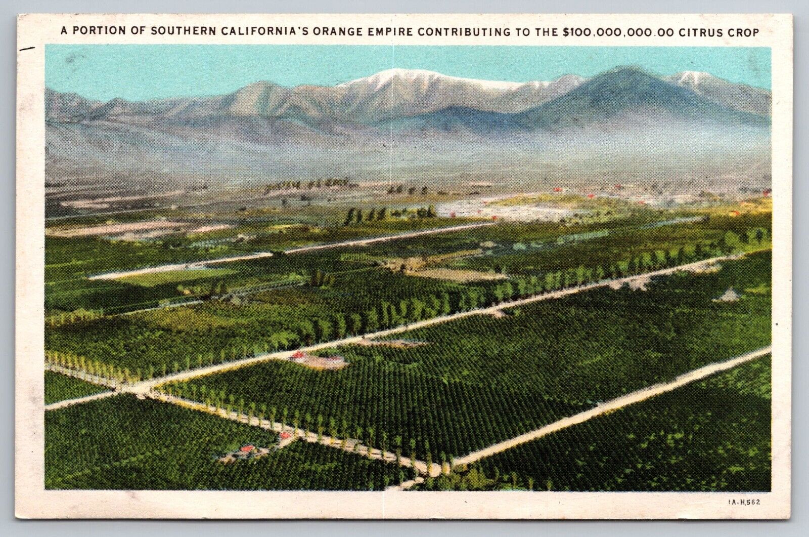 Portion of Southern California Orange Empire.  Postcard