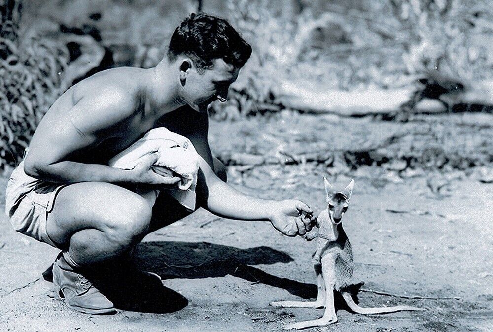 Shirtless man with kangaroo joey in the outback 4x6 Gay Gentleman's Collection