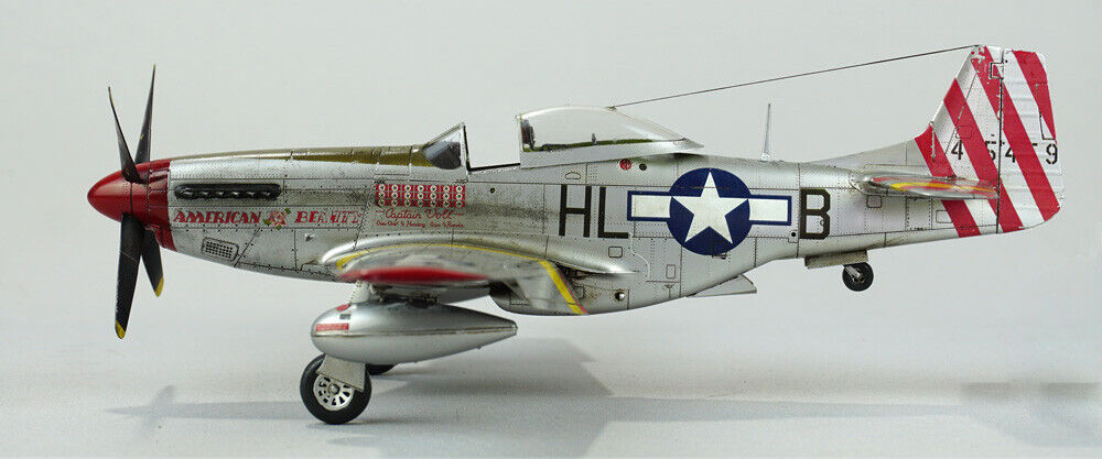 Pro Built P-51D Mustang 1/48 Scale Model