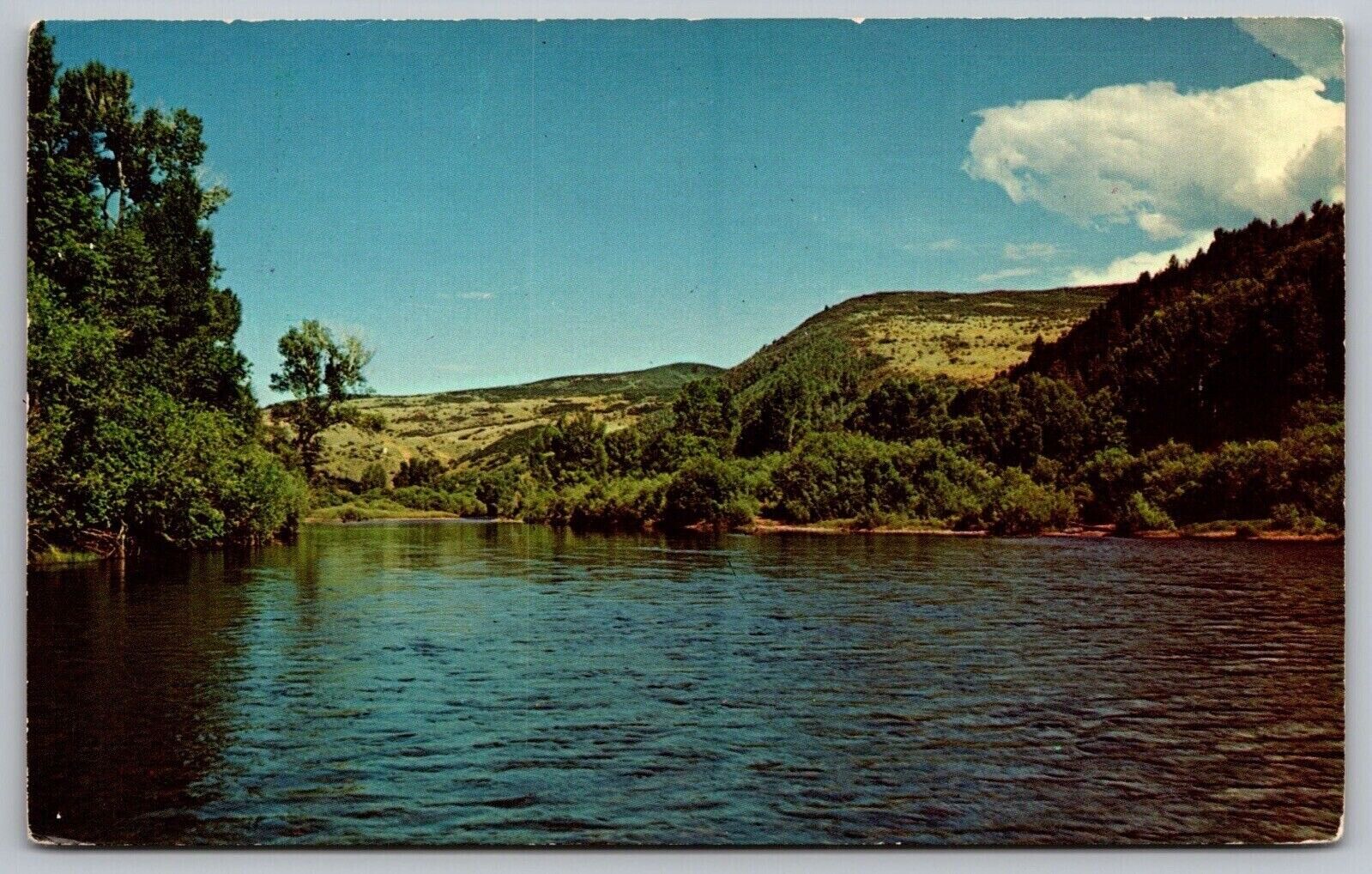Yampa River Steamboat Springs Craig Colorado Riverfront Forest Cliffs Postcard