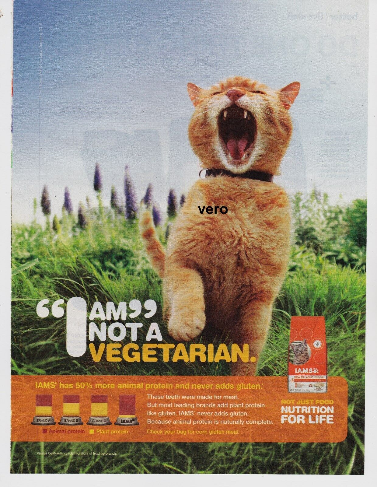 IAMS cat food ad 2015 vtg print clipping I AM NOT A VEGETARIAN orange screaming 