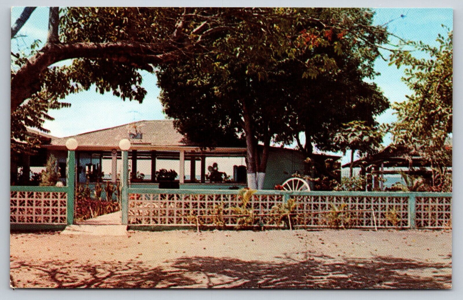 Postcard Puerto Rico Salinas Playa Ladi's Place Restaurant 4W