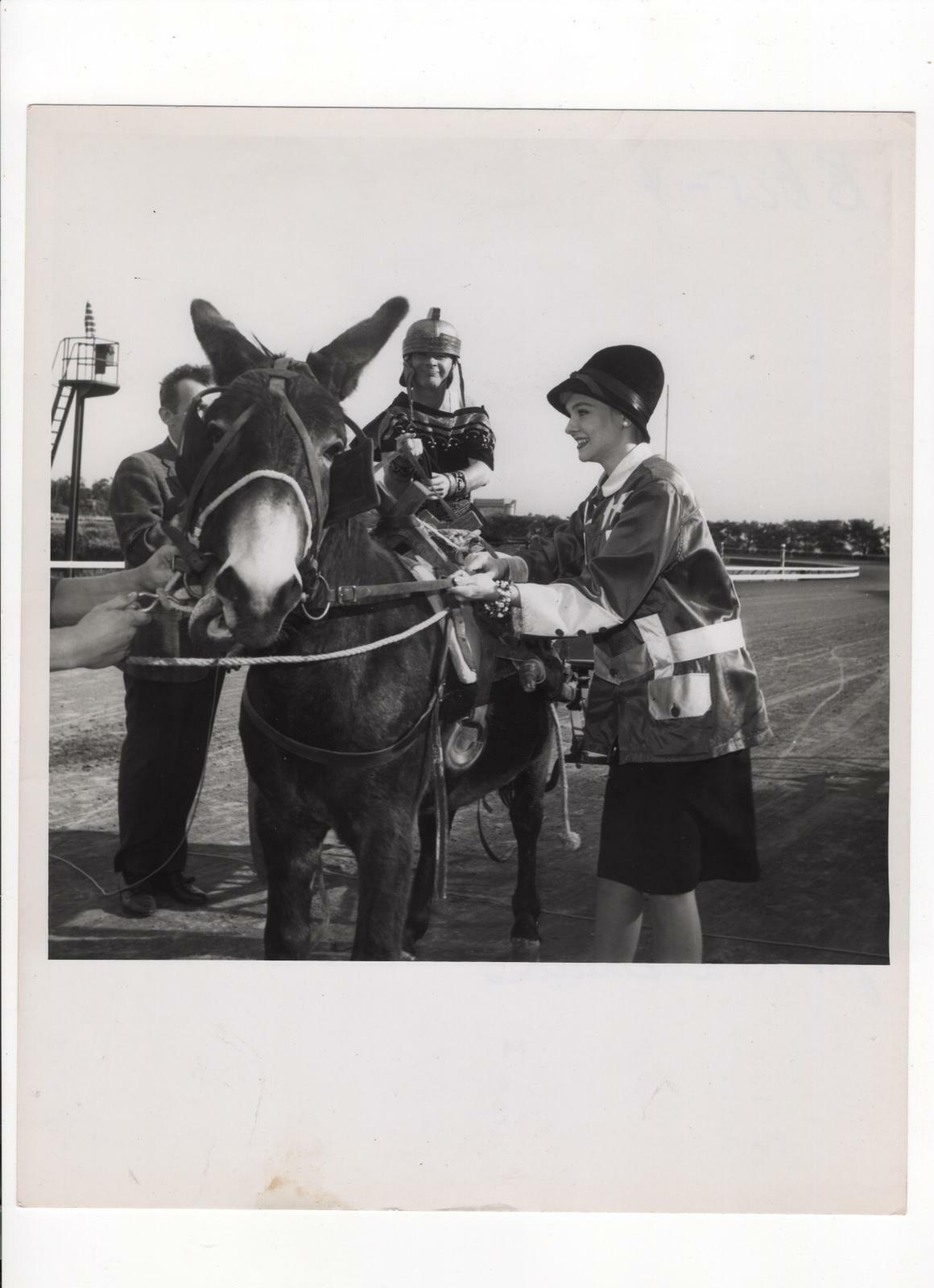 Diane McBain BOMBSHELL HORSE RACE 1950s STUNNING PORTRAIT ORIG PHOTO 342