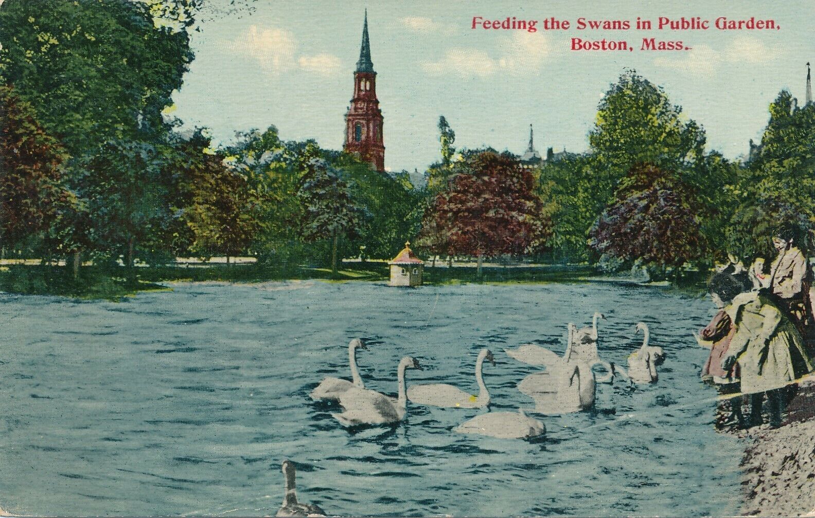 BOSTON MA – Feeding the Swans in Public Garden