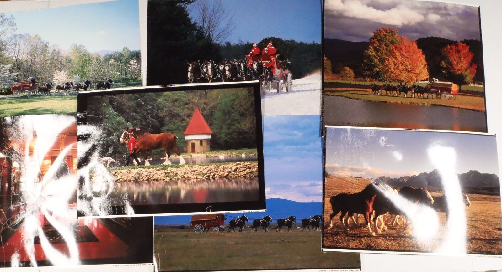 1995 BUDWEISER CLYDESDALES Beer Wagon Photo Chromalin Matchprint Proofs