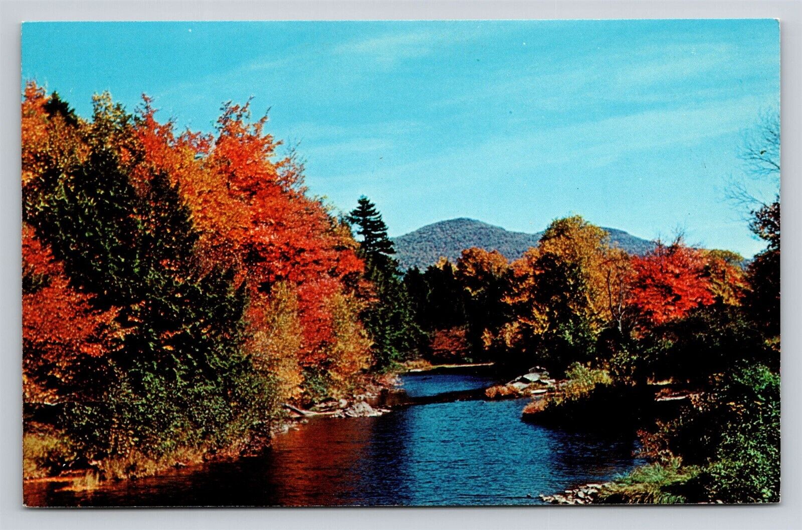 Schoharie Creek New York in Fall Autumn Colors Leaves Glory Vintage NY Postcard