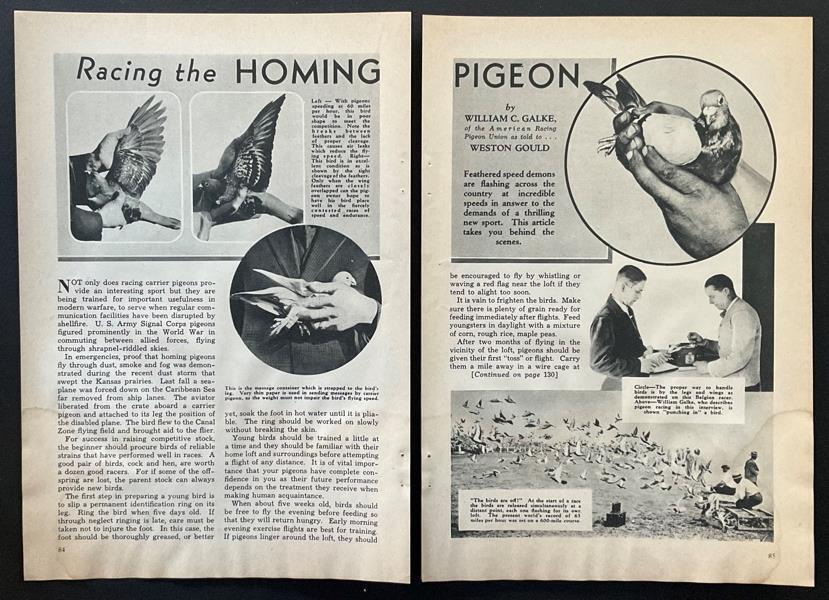 Pigeon Racing 1952 pictorial “Feathered Racers on the Beam” Santa Monica club